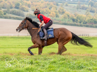 AK021025-56 - Believitanducan